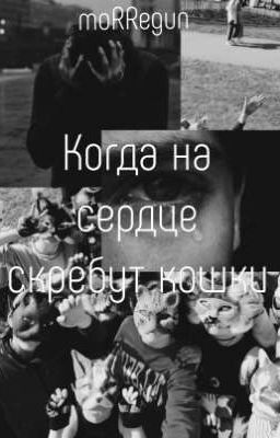 Когда на сердце скребут кошки