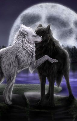 Истинная пара на всю жизнь.