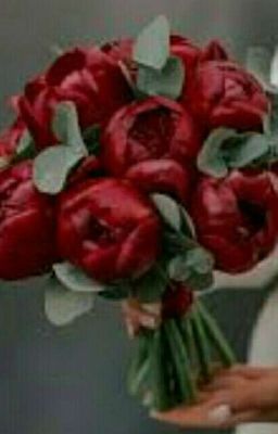 {Война Внутренего Мира}