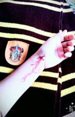 Месть Гриффиндорцев