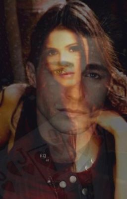 Горький привкус лжи