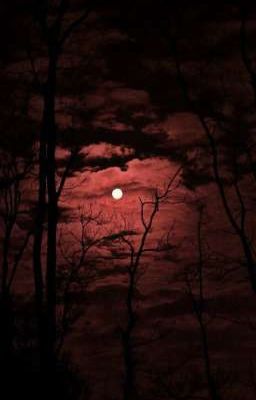 мир высших и низших вампиров