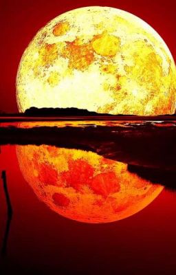 Ночь кровавой луны или все тайное становиться явным