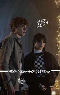 Неожиданная встреча 