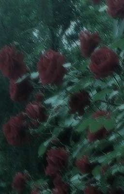 Обжигающее перо нежного ветра (Закрыт)