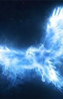 Заклинания из мира Гарри Поттера