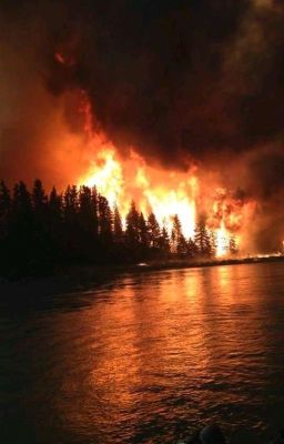 Стихии Жизни