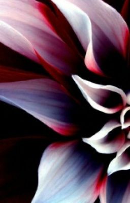 Долгий путь