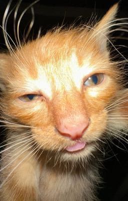 Все решают деньги,но не всегда..