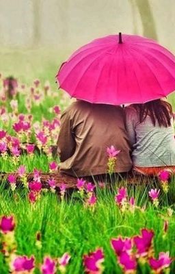 Лужайка желтых лютиков