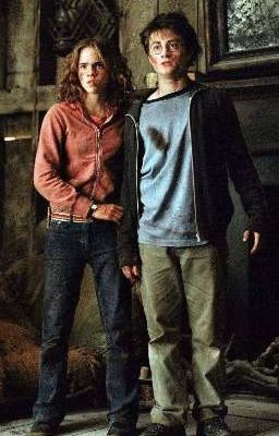 Любовь с первого взгляда 