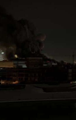 сердце Крокуса 