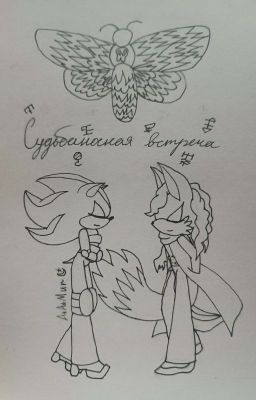 Судьбоносная встреча