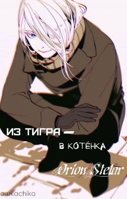 Из тигра - В котёнка