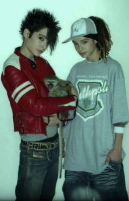 Братья Каулитц 