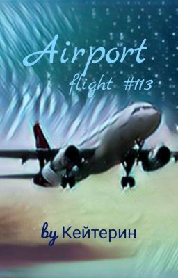Аэропорт: Рейс #113