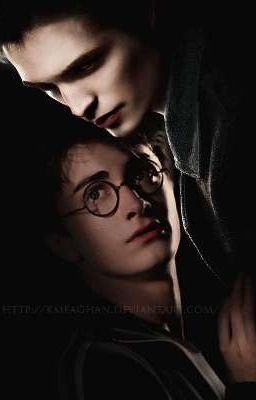 Волшебные сумерки 