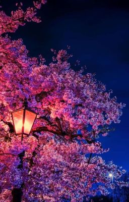 특이한 사실 (Хёнликсы) 