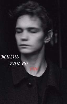 Жизнь как во сне.