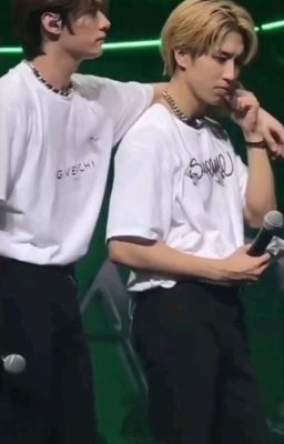 не взаимная любовь минсонов(почти)