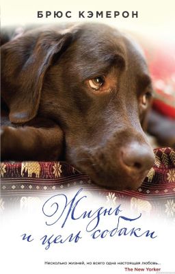 Жизнь и цель собаки