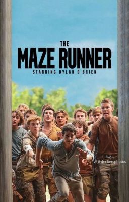 бегущая по лабиринту 