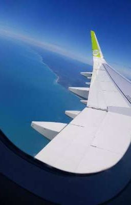 серая мышкаили нет........ 