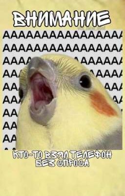 Любовный знак 