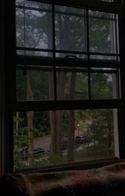 Уже темнеет...