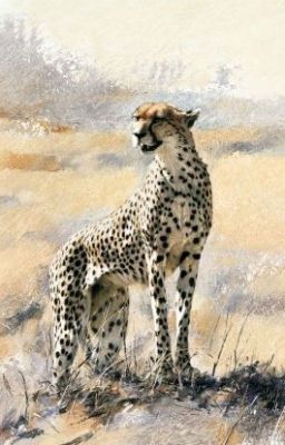 Мечта или изучение хищника в естественной среде обитания