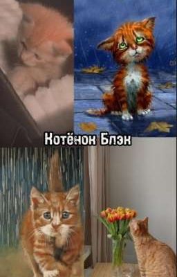 ~Котёнок Блэк~