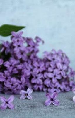 Продавец желаемых смертей 