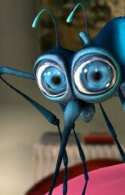 лысый камар