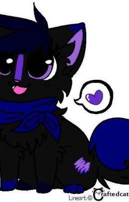 История звёздочки