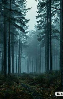 Мелодия надежды (Глава 2)