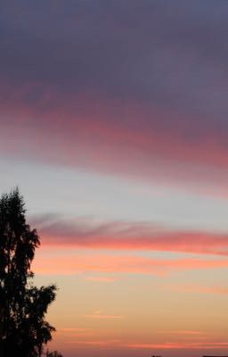 Глупости опьяненного любовью