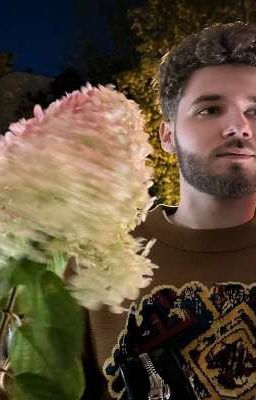 Уже не холостяк//Куэртов