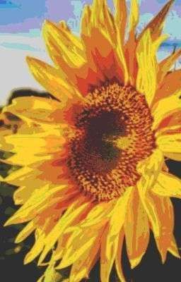 первая мировая за спасением жизней 