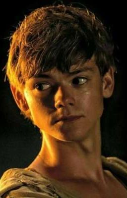 Чертов Ньют...♥️