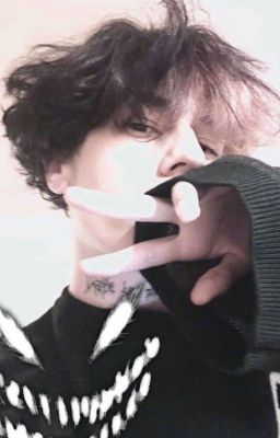 курседзайка