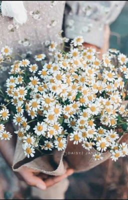 Прекрасна, как цветы. 