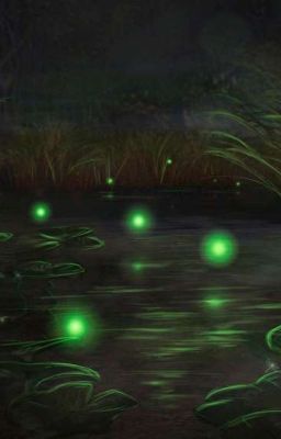 болотные огоньки 