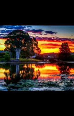 🎵♥Тексты песен🎶🎧