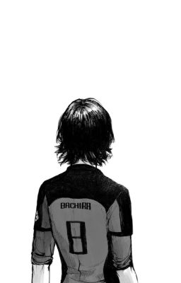 Трудности перевода