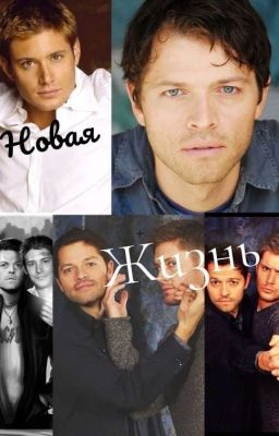   Новая Жизнь: Длится Не Долго! 