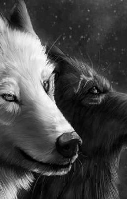 "Новенький"