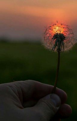 Я твоя смерть