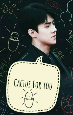 Кактус Для Тебя