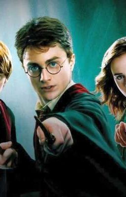 Дети марадёров