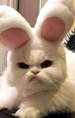 Ты Исправил Мою Жизнь (Закончен)